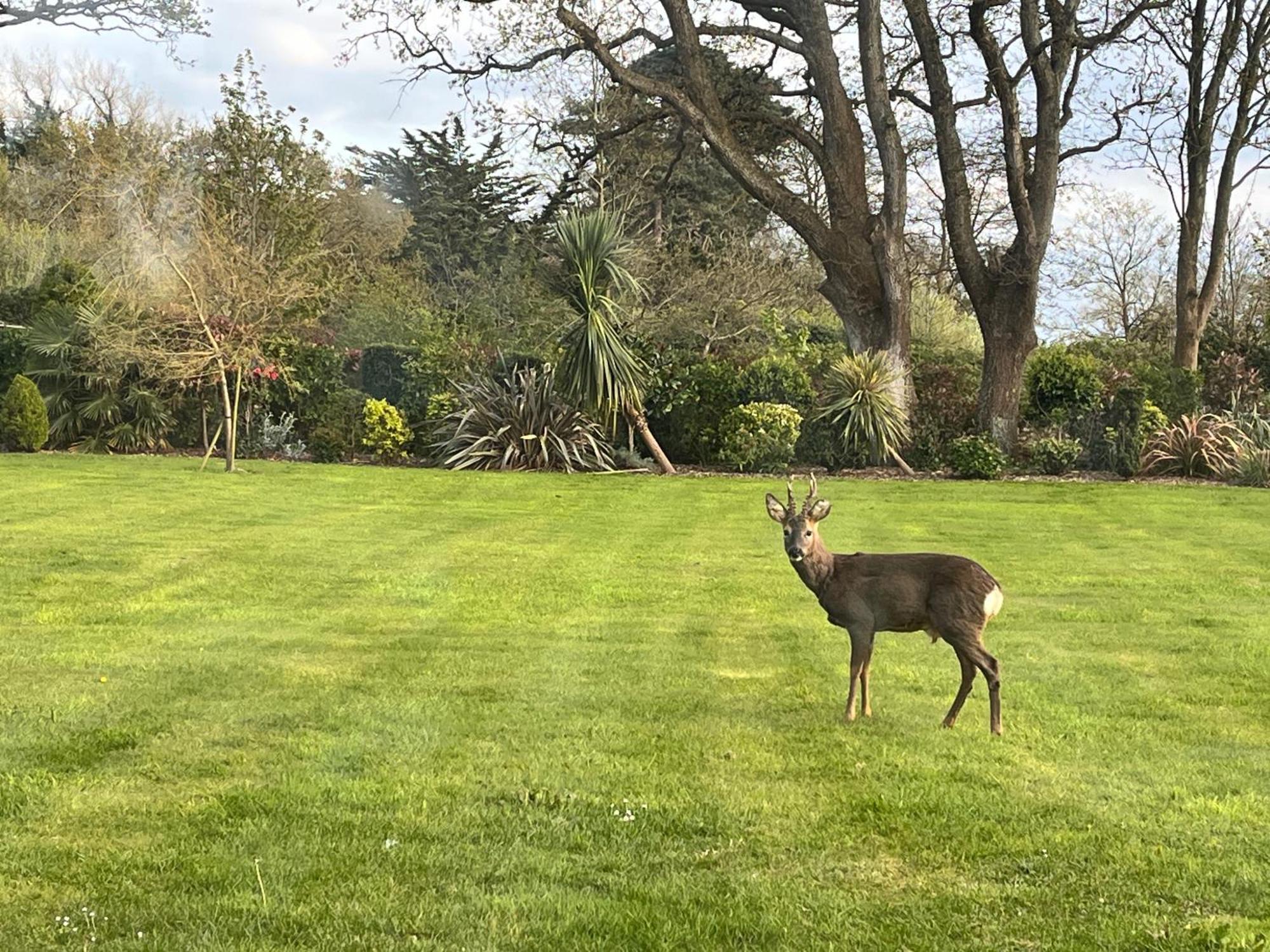 Stay At 'The Elms' In Tranquil Church Norton, Selsey - Ground Floor Bedroom, Own Private Bathroom, Quiet Beach, 2 Acre Garden By The Sea, On Edge Of Wildlife Nature Reserve Ngoại thất bức ảnh